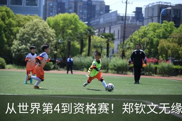 从世界第4到资格赛！郑钦文无缘美网外卡，3连胜换94万奖金